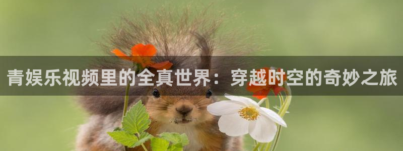 pg国际服：青娱乐视频里的全真世界：穿越时空的奇妙之旅