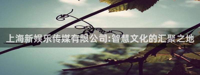 pg国际下载：上海新娱乐传媒有限公司:智慧文化的汇聚之地