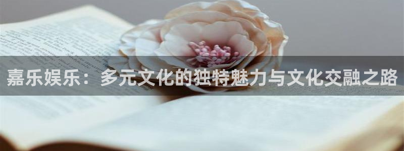 pg国际服：嘉乐娱乐：多元文化的独特魅力与文化交融之路