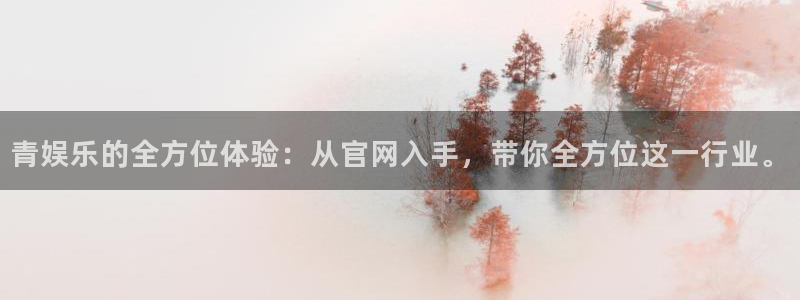 pg国际人：青娱乐的全方位体验：从官网入手，带你全方位这一行业。