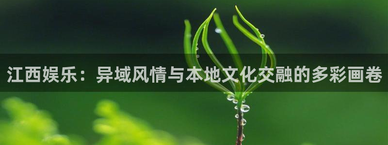 pg国际服：江西娱乐：异域风情与本地文化交融的多彩画卷