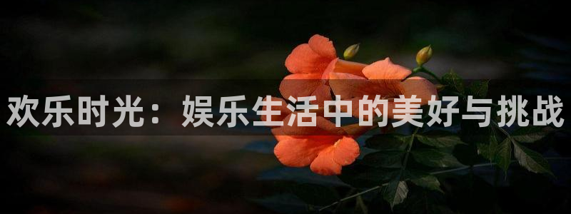 pg国际服：欢乐时光：娱乐生活中的美好与挑战