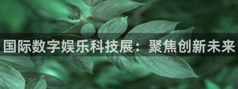 pg国际平台：国际数字娱乐科技展：聚焦创新未来