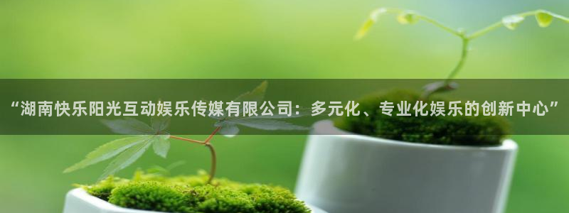 pg国际服：“湖南快乐阳光互动娱乐传媒有限公司：多元化、专业化娱乐的创新中心”