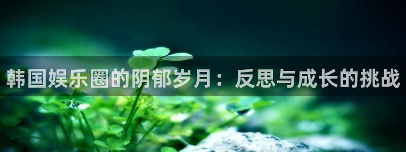 pg国际：韩国娱乐圈的阴郁岁月：反思与成长的挑战